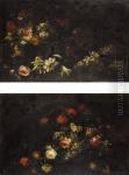 Still Life - view 1