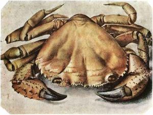 Lobster 2 by Albrecht Durer