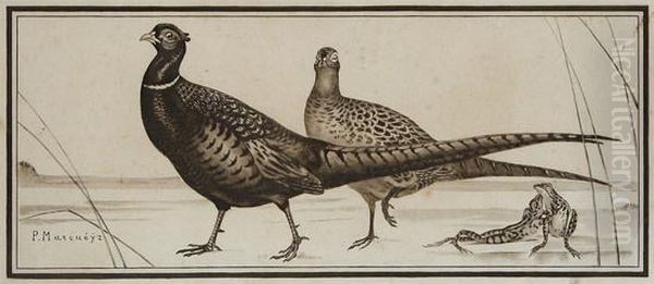 Couple De Faisans Et Grenouilles - view 1