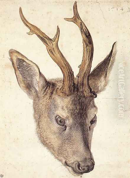 Head of a Stag - view 1