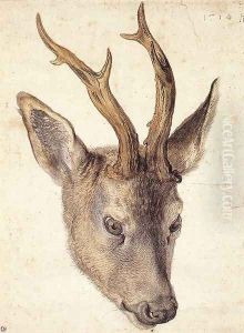 Head of a Stag by Albrecht Durer