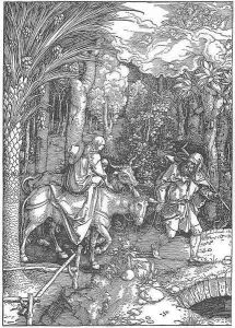Life of the Virgin, 13. The Flight into Egypt by Albrecht Durer