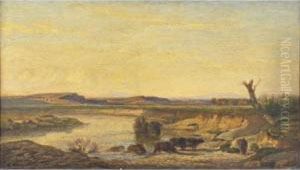 Paysage Aux Buffles