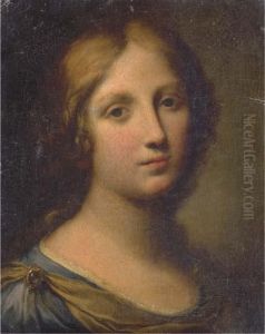 Portrait Of A Young Woman, Head And Shoulders