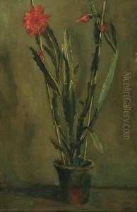 Flowering Cactus In A Pot by Simon Maris