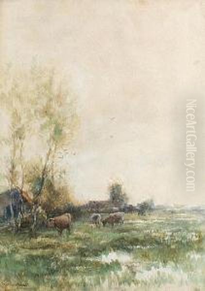 Cattle Grazing - view 1