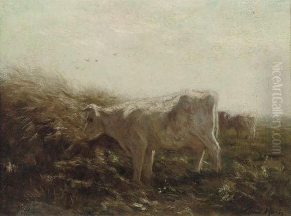 Cows In A Meadow - view 1