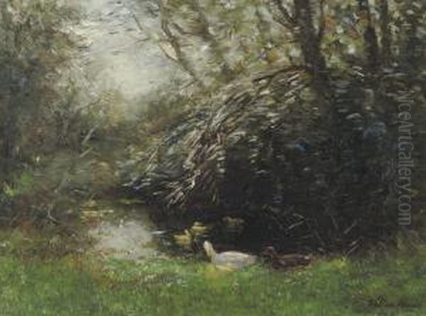 In The Shady Pond - view 1