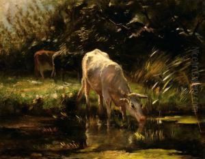 A Calf Drinking From A Pond by Willem Maris
