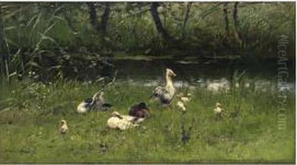 Ducks And Their Ducklings By The Waterside - view 1