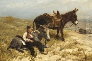 Herdboy With Donkeys On Scheveningen Beach