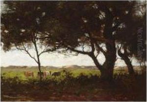 Cows In A Wooded Landscape Cows In A Wooded Landscape