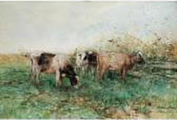 Cattle Grazing - view 1
