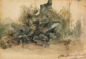 Study Of Foliage by Willem Maris