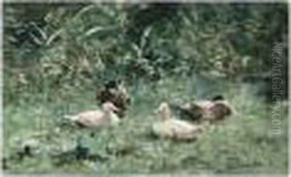 Ducks On The Waterfront - view 1