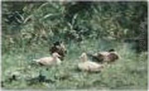 Ducks On The Waterfront by Willem Maris