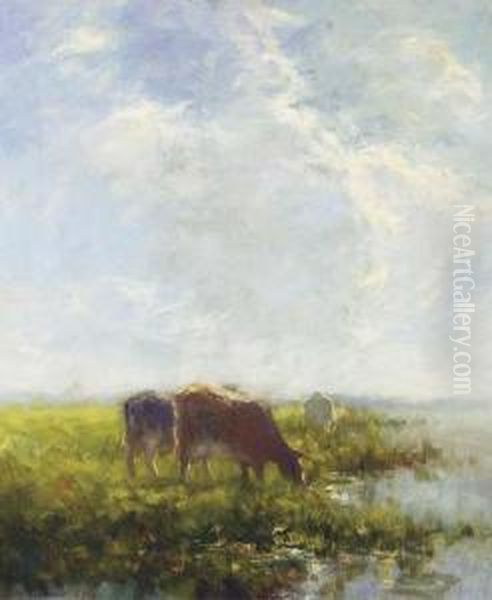 Watering Cows In Summer - view 1