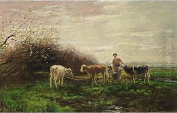 Watering The Cows - view 1