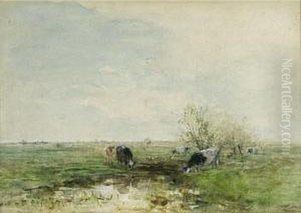 Watering Cows In A Polder Landscape - view 1