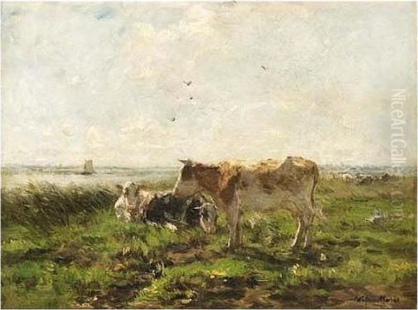 Cows In A Polder Landscape - view 1