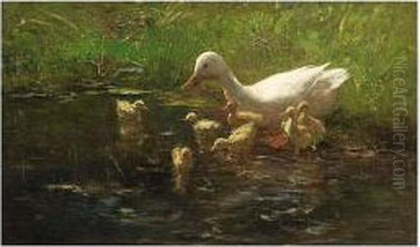 Ducks On The Waterfront - view 1