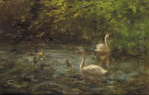 Swans And Their Young On A Pond - view 1