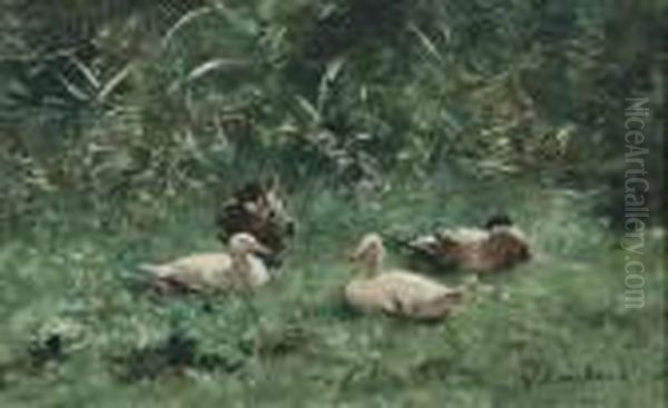Ducks Resting In A Sunlit Meadow - view 1