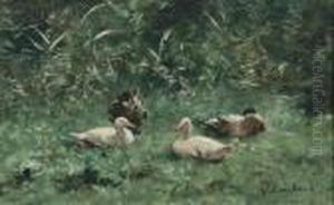 Ducks Resting In A Sunlit Meadow by Willem Maris
