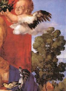 Madonna with the Siskin (detail 3) by Albrecht Durer