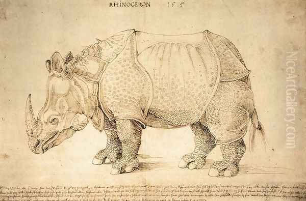 Rhinoceros 2 - view 1