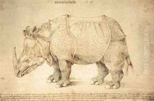 Rhinoceros 2 by Albrecht Durer