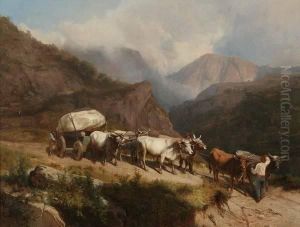 Oxen Team Pulling Wagon