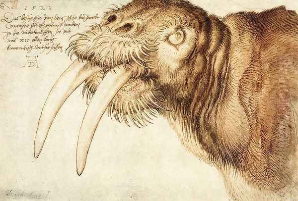 Walrus - view 1
