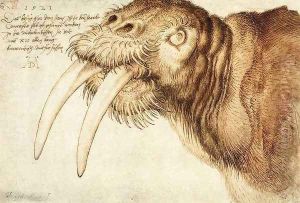 Walrus by Albrecht Durer