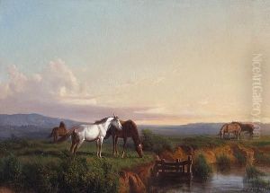 Horses At Pasture In An Extensive Landscape Near Pisa by Andras Markos