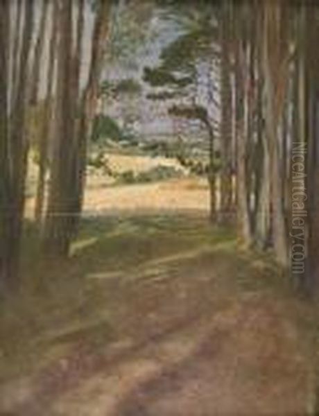 Las, 1904 (?) - view 1