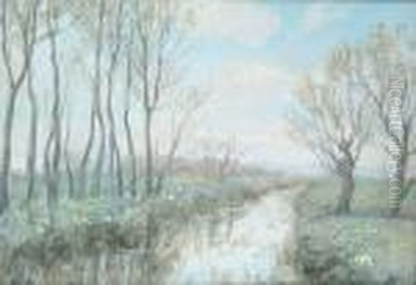 Near Arundel - view 1