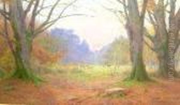 A Lawn In The New Forest - view 1