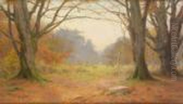A Lawn In The Forest - view 1