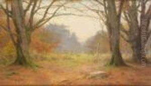 A Lawn In The Forest by George Marks