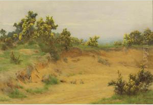 Three Rabbits In A Dry Riverbed - view 1