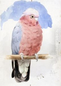 Study Of A Parrot by Henry Stacy Marks