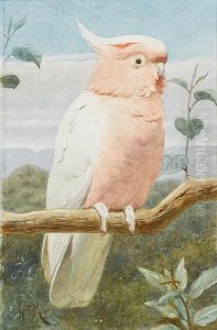 A Pink Cockatoo by Henry Stacy Marks