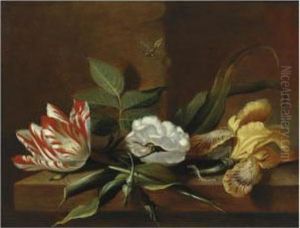 Still Life With A Yellow Iris, A
Parrot Tulip, A White Rose Andinsects On A Wooden Table Ledge by Jacob Marrel