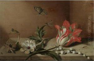 A Still Life With A Tulip,
Anemones, Lily-of-the-valley, Acaterpillar, A Butterfly And Other
Insects On A Wooden Ledge by Jacob Marrel