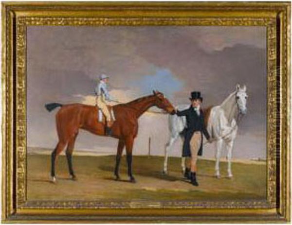 Lord Rous's Racehorse Shrapnell - view 1