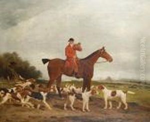 The Hunt The Hunt