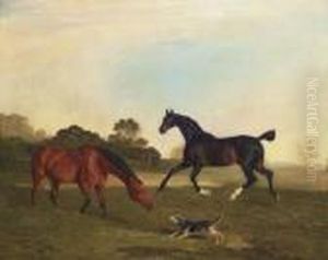 A Light Bay And A Brown Hunter In A Paddock by Benjamin Marshall