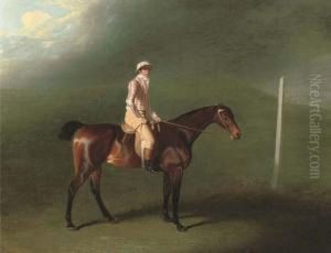 Sir Charles Bunbury's Bay Filly With Jockey Up On Newmarketheath
