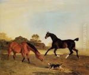 Light Bay And A Brown Hunter In A Paddock Startled By A Terrier